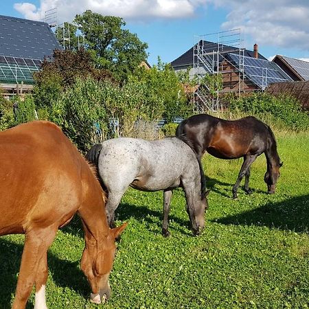 Apartament Ruhezone Bremke  Zewnętrze zdjęcie